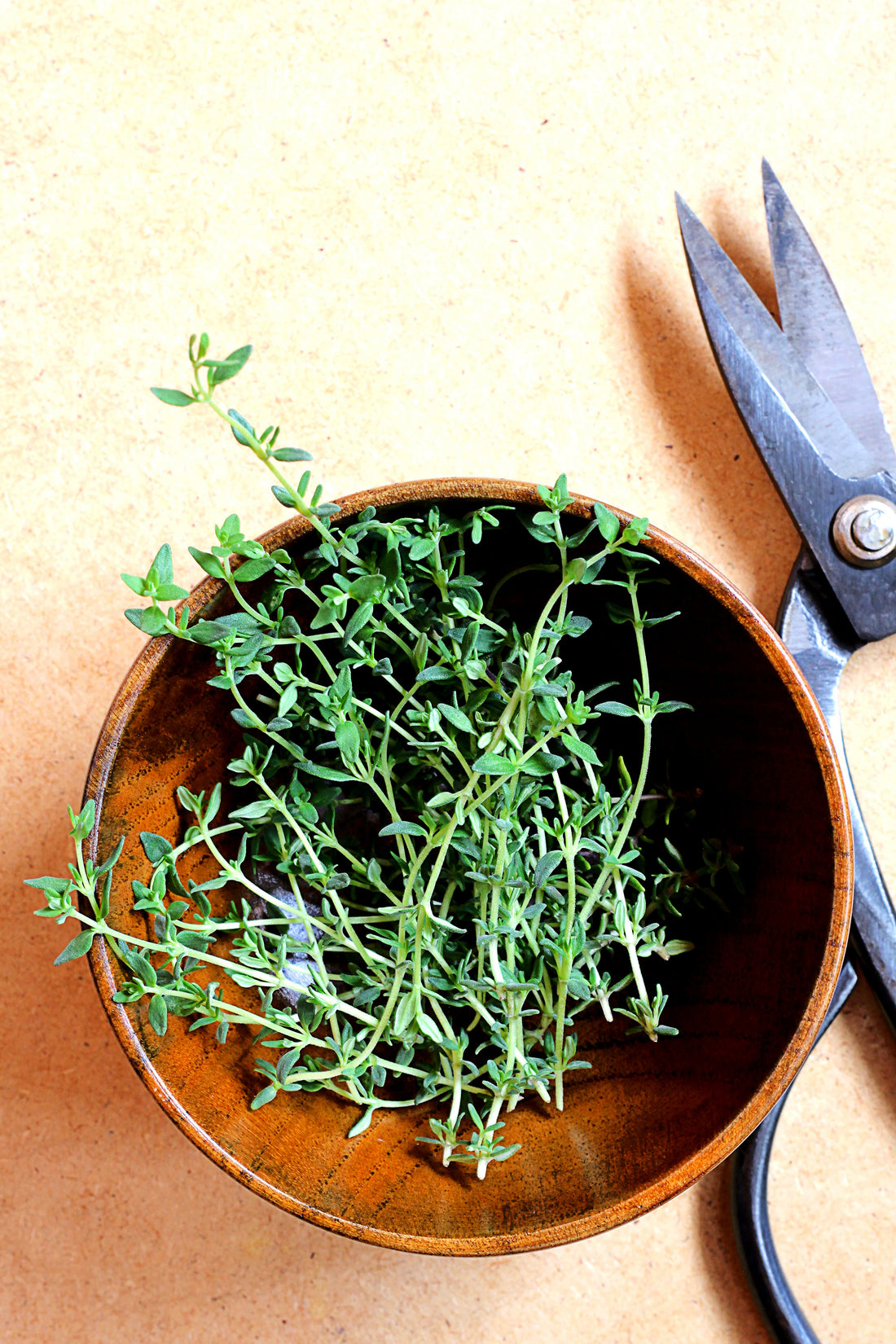 How-To: Grow Herbs